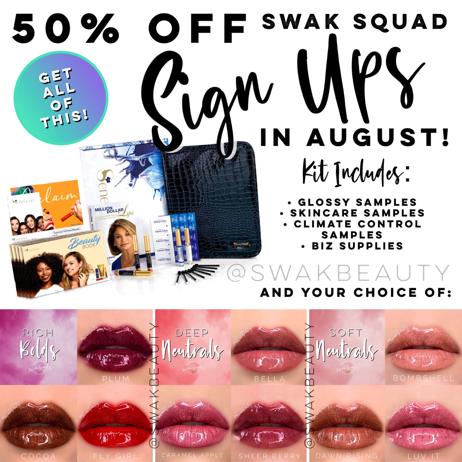 lipsense new distributor kit