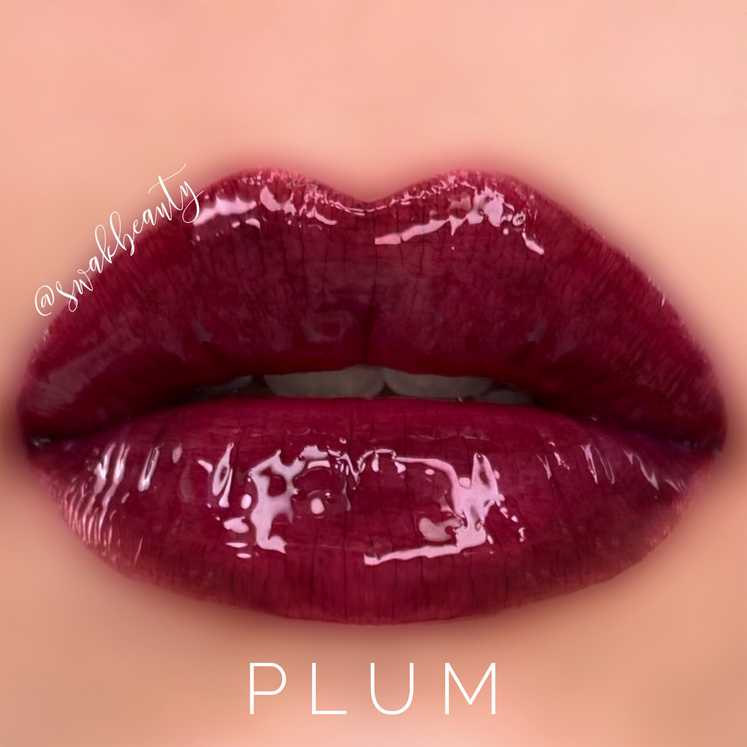 Plum LipSense® – swakbeauty.com