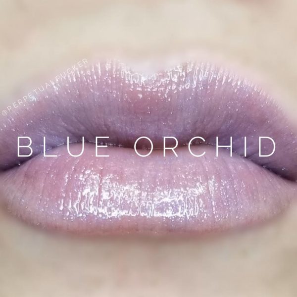 blue orchid-candis