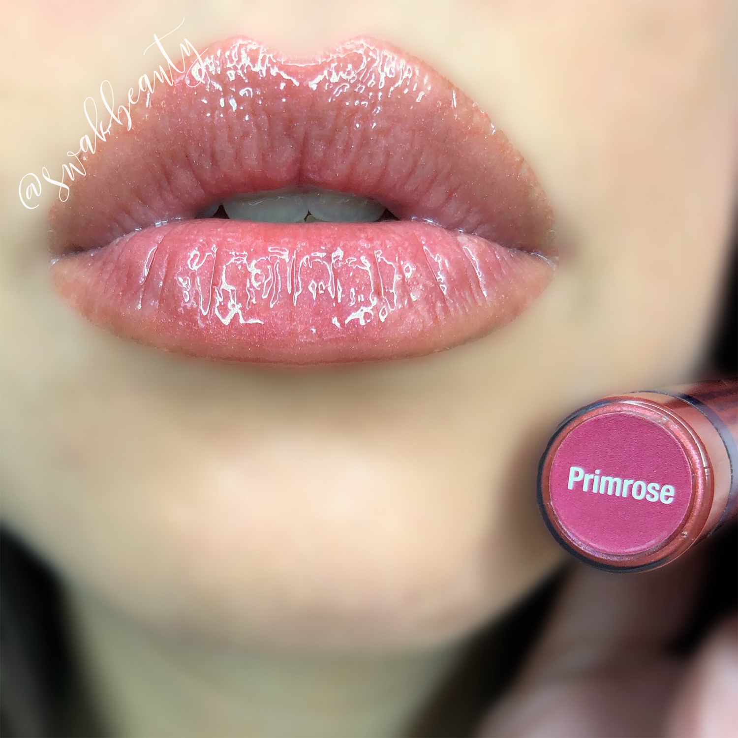 LipSense® Primrose Gloss (Limited Edition) – swakbeauty.com