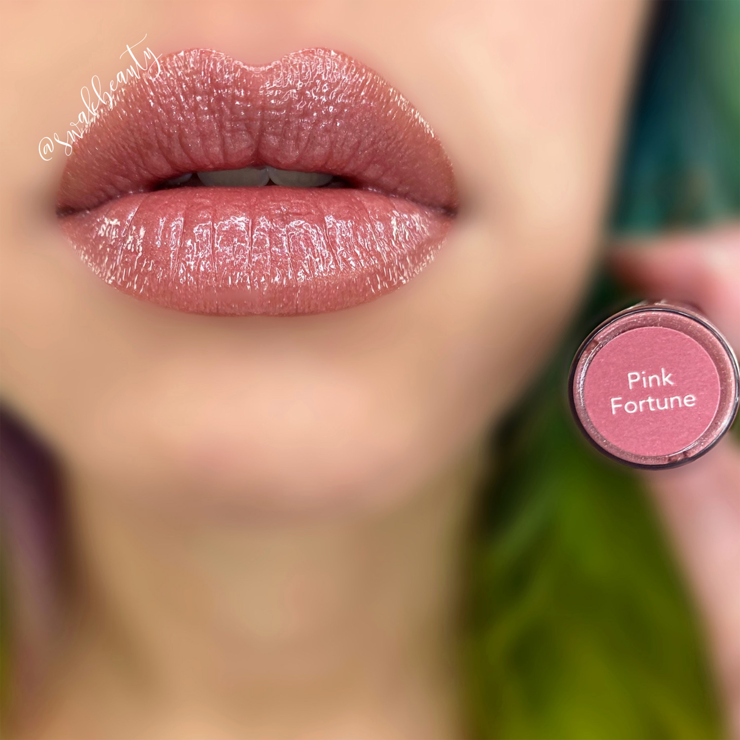 LipSense® Pink Fortune Gloss (Limited Edition) – swakbeauty.com