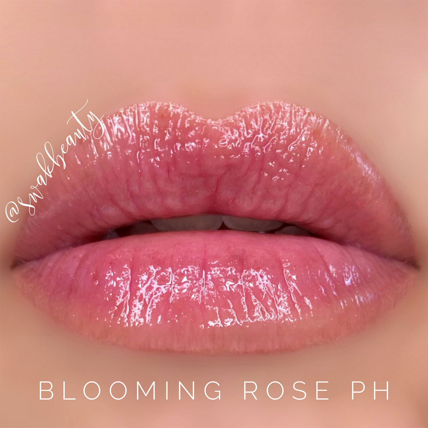 BloomingRosePHGloss-lips