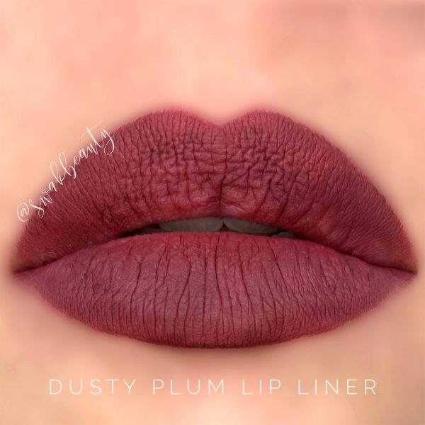 DustyPlum-LipLiner-Lips-filled